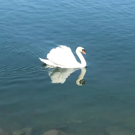 Petra * Biograd na Moru