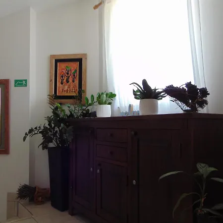 Apartamento Petra